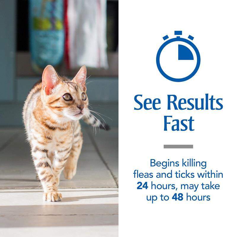 PetArmor Plus for Cats