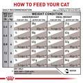 Royal Canin Veterinary Diet Adult Gastrointestinal Dry Cat Food, 8.8 lb bag