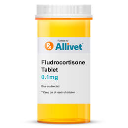 Fludrocortisone 0.1 mg Tablet