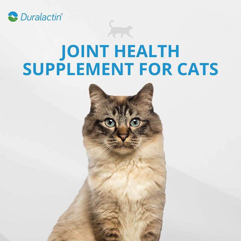 Duralactin Feline