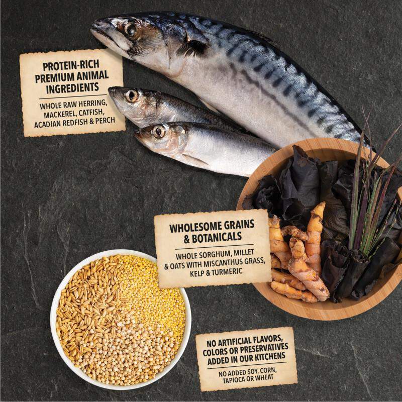 Acana Regionals Wholesome Grains Sea to Stream Dry Dog Food, 22.5 lbs