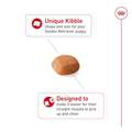 Royal Canin Breed Health Nutrition Golden Retriever Puppy Dry Food