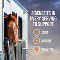 Cosequin ASU Balance Joint, Immune, and Digestive Health Supplement For Horses, 1,200 gm
