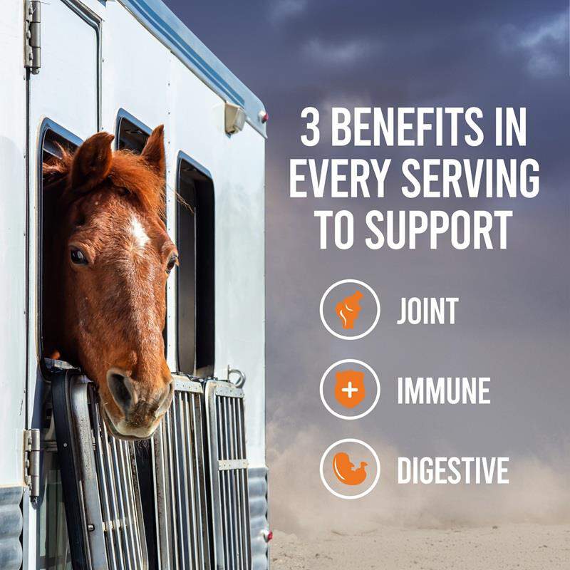 Cosequin ASU Balance Joint, Immune, and Digestive Health Supplement For Horses, 1,200 gm
