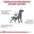 Royal Canin Veterinary Diet Adult Hydrolyzed Protein Moderate Calorie Dry Dog Food