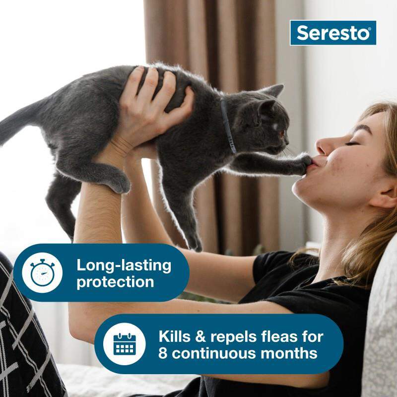 Seresto for Cats with Fleas and Ticks