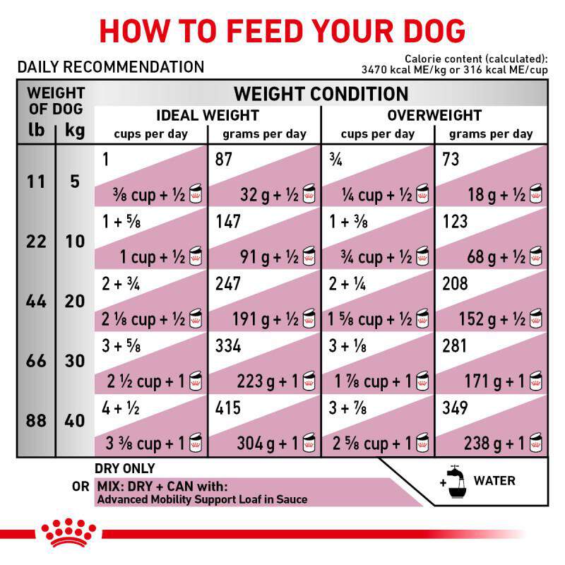 Royal Canin Veterinary Diet Adult Advanced Mobility Support Dry Dog Food