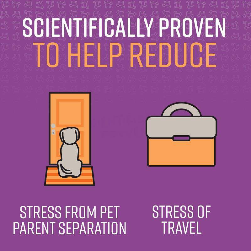 SENTRY Calming Spray for Dogs, 1.62 oz