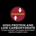 Purina Pro Plan Veterinary Diets DM Dietetic Management Formula Adult Cat Food, 24 x 5.5 oz cans