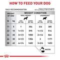 Royal Canin Veterinary Diet Skintopic Loaf in Sauce Adult Canned Dog Food, 24 x 13.5 oz cans