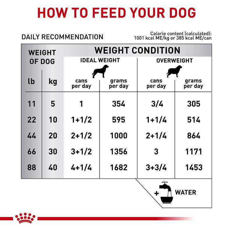 Royal Canin Veterinary Diet Skintopic Loaf in Sauce Adult Canned Dog Food, 24 x 13.5 oz cans