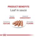 Royal Canin Feline Health Nutrition Adult Instinctive Loaf in Sauce Canned Cat Food, Case of 24
