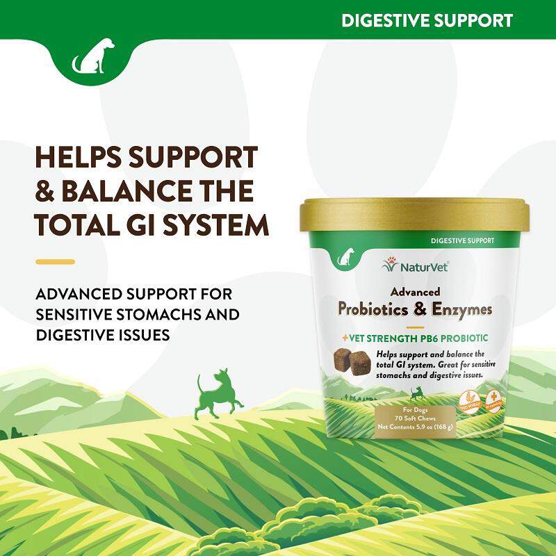 NaturVet Advanced Probiotics & Enzymes Plus Vet Strength PB6 Probiotic Soft Chews for Dogs