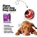 Gut, Prebiotic & Probiotics Soft Chews for Dogs, 60 ct