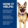 Hill's Prescription Diet Gastrointestinal Biome Digestive/Fiber Care with Chicken Dry Dog Food