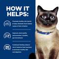 Hill's Prescription Diet z/d Skin/Food Sensitivities Canned Cat Food, 24 x 5.5 oz cans