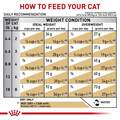 Royal Canin Veterinary Diet Adult Multifunction Urinary SO Aging 7+ and Calm Dry Cat Food