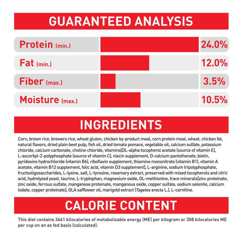 Royal Canin Size Health Nutrition Small Aging 12+ Dry Dog Food