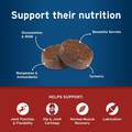 Pet Protect Hip & Joint + Synovi G4 Soft Chews for Dogs