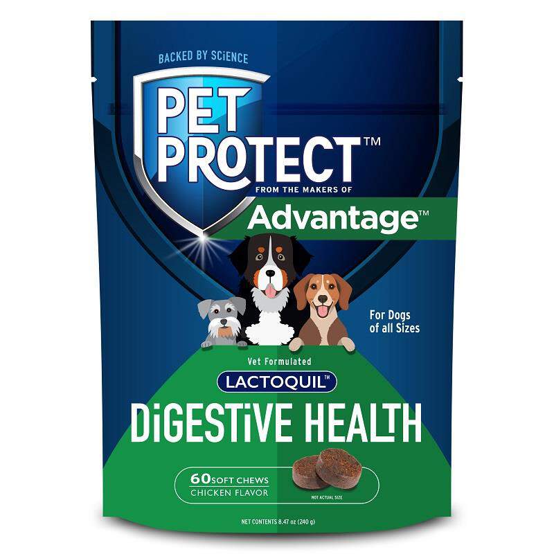 Pet Protect Digestive Health Lactoquil Soft Chews for Dogs, 60 Ct.