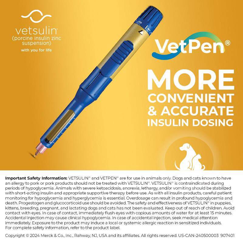 Vetsulin Insulin for Dogs and Cats 10 ml Vial