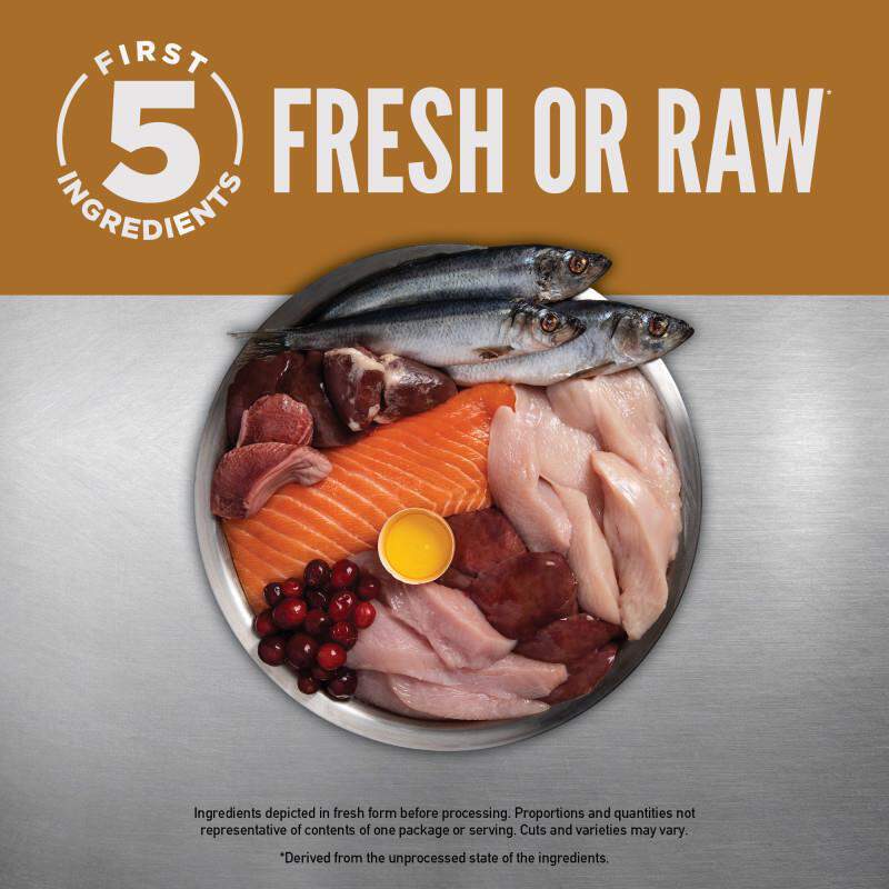 Orijen Biologically Appropriate Grain-Free Chicken, Turkey & Fish Puppy Dry Dog Food, 23.5 lbs