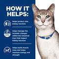 Hill's Prescription Diet k/d Kidney Care with Tuna Canned Cat Food, 24 x 5.5 oz cans