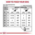 Royal Canin Veterinary Diet Adult Urinary SO Aging 7+ Loaf in Sauce Canned Dog Food, 24 x 5.2 oz cans