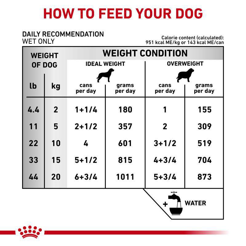 Royal Canin Veterinary Diet Adult Urinary SO Aging 7+ Loaf in Sauce Canned Dog Food, 24 x 5.2 oz cans