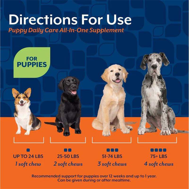NaturVet Puppy Daily Care All-In-One Supplement with 6-in-1 Support, Hickory Smoked Bacon Flavor, 60 Soft Chews