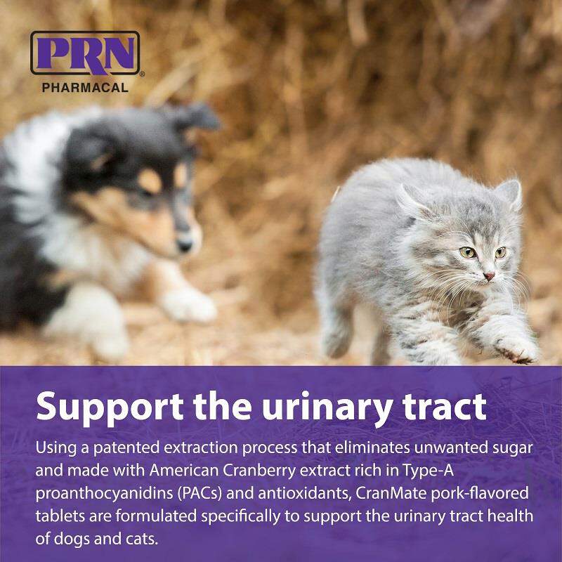 PRN Pharmacal CranMate for Dogs and Cats with UTIs and Incontinence, 60 Chewable Tablets
