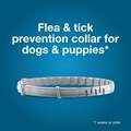 Seresto for Dogs