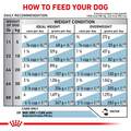 Royal Canin Veterinary Diet Selected Protein Potato & Rabbit Adult Canned Dog Food, 24 x 13.5 oz cans