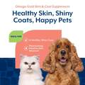 NaturVet Omega Gold Plus Salmon Oil Soft Chews, 180 Ct
