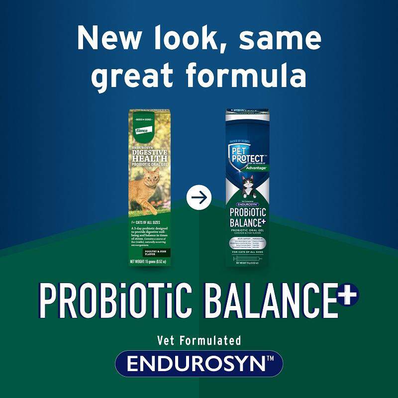Pet Protect Probiotic Balance + Endurosyn Oral Gel for Cats, 15 g