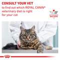 Royal Canin Veterinary Diet Adult Urinary SO Morsels in Gravy Canned Cat Food, 3 oz cans