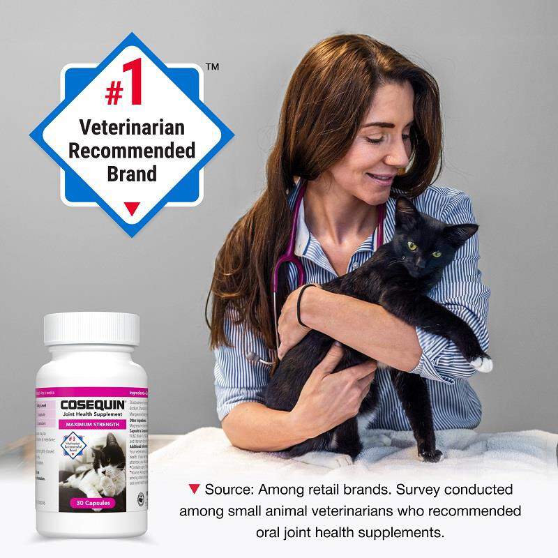 Cosequin Maximum Strength Joint Health Supplement for Cats, Sprinkle Capsules