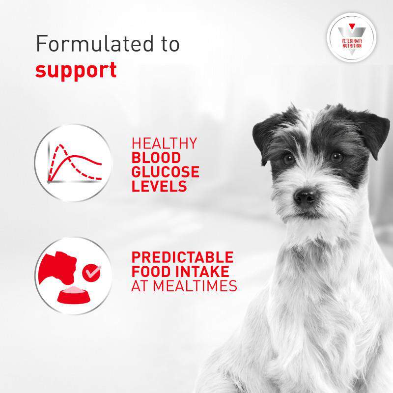 Royal Canin Veterinary Diet Adult Glycobalance Small Dog Dry Food