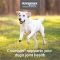 Cosequin Chews Plus MSM