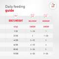 Royal Canin Veterinary Diet Adult Glycobalance Loaf in Sauce Canned Dog Food, 13.4 oz cans