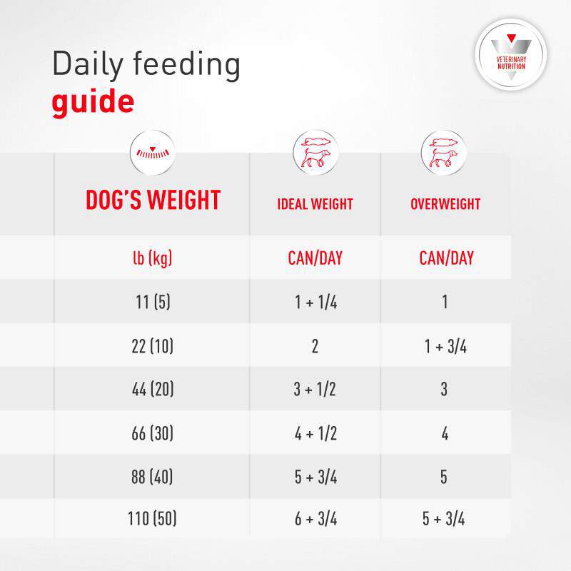 Royal Canin Veterinary Diet Adult Glycobalance Loaf in Sauce Canned Dog Food, 13.4 oz cans