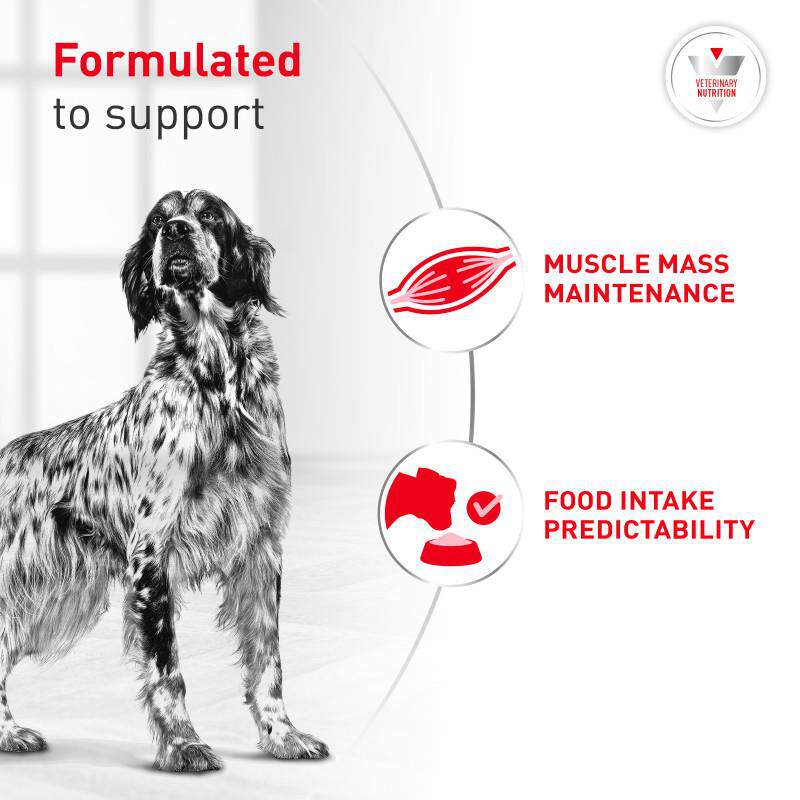 Royal Canin Veterinary Diet Adult Glycobalance Dry Dog Food