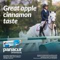 Merck Animal Health Panacur Paste 10% for Horses 100 mg