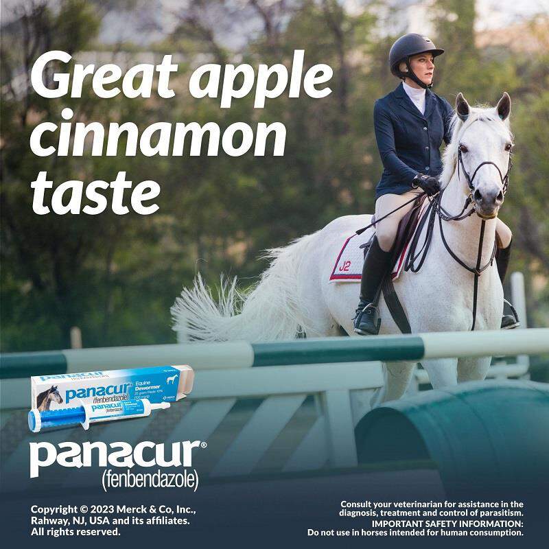 Merck Animal Health Panacur Paste 10% for Horses 100 mg