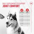Royal Canin Adult Joint Chewable Supplements for Dogs, 60 Soft Chews