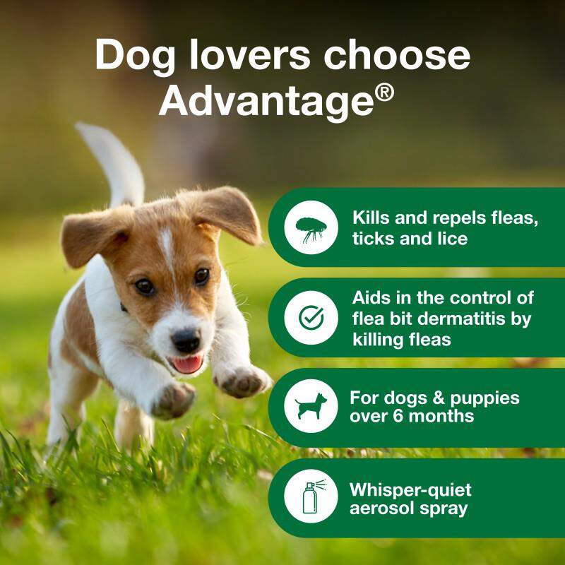 Advantage Treatment Spray for Dogs, 15 oz