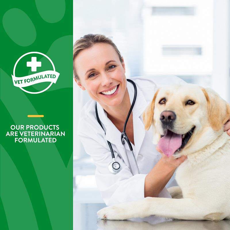 NaturVet Digestive Enzymes Plus Probiotic Soft Chews for Dogs