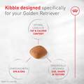 Royal Canin Breed Health Nutrition Golden Retriever Adult Dry Dog Food