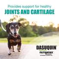 Dasuquin Soft Chews