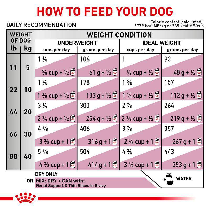 Royal Canin Veterinary Diet Adult Renal Support F Dry Dog Food